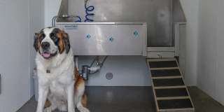 Sundance at Baxter Meadows Gallery 14