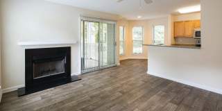 Canopy at Baybrook Canopy at Baybrook Gallery 18