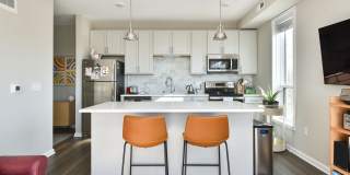 The Serene Gallery 4