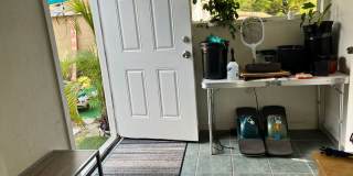 Gulfport charm 3/1 1 car garage Gallery 15