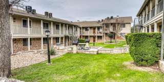 Juniper Springs Gallery 5