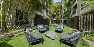 Emory Old Town Gallery 30