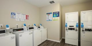 Winding Creek Gallery 11