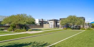 Olive Queen Creek Gallery 30