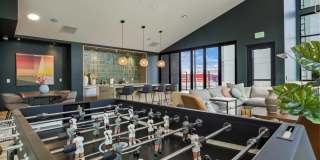 Edera Gallery 17