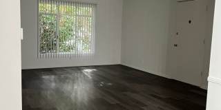 h1252 Gallery 4