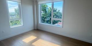 Beautiful Apartment in Allston Gallery 1