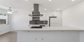 1009 N. Edinburgh Ave Gallery 8