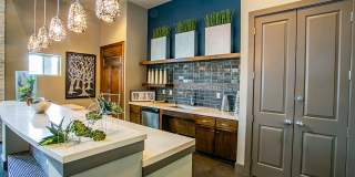 Aliso Briar Forest Gallery 7