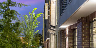 The Calvert Gallery 44