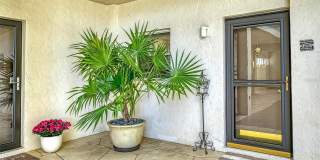 1355 S PORTOFINO DRIVE Gallery 5