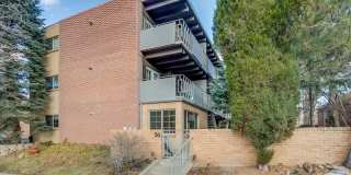 50 North Clarkson street Gallery 1