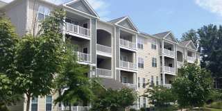 Legacy Ridge Gallery 24