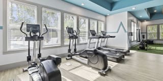 Integra Trails Gallery 26