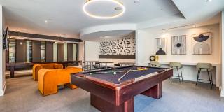 Maven at Wheaton Gallery 13