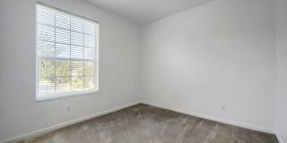 Great apartment for rent! Gallery 22