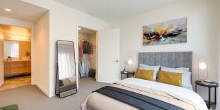 Prizma Gallery 24
