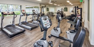 Citation Club Gallery 22