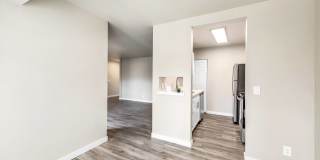 Forest Hill Village Gallery 19