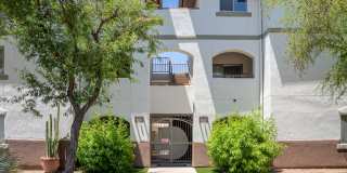 Riata Court Gallery 2