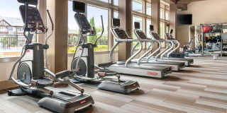 The Falls at Forsyth Gallery 17