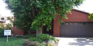 1933 S. Royal Oaks Drive Gallery 1