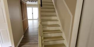 152 SEAGULL Gallery 3