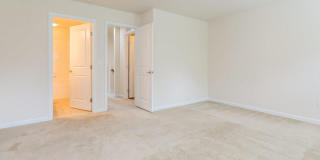 473 Panorama View Loop Gallery 10