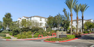 Bell Murrieta Springs Gallery 18