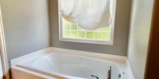 Beautiful 3 bed 2.5 Bath Home in East Loveland, CO! Gallery 20