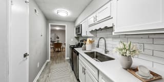 Elliot Roswell Gallery 9