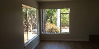 AUGUST 2026 SDSU AREA HOME - 4 bedrooms / 3 bath - With Big yard on Canyon! Gallery 15