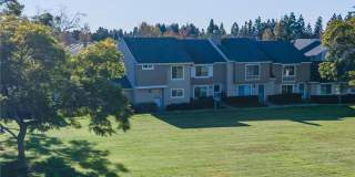 31 Windjammer Gallery 1