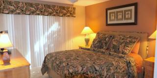 South Palm Springs,Furnished, Seasonal terms Gallery 9