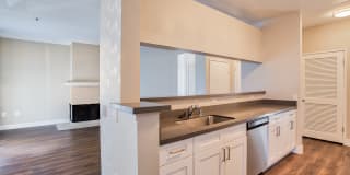 Woodland Meadow Gallery 26