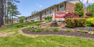 Allandale Falls Gallery 21