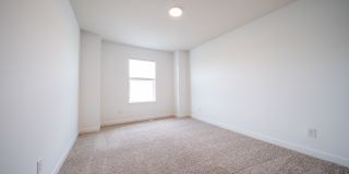 21618 Orchid Path Gallery 19