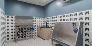The Jayne Gallery 12