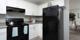 Evergreen Commons Gallery 24