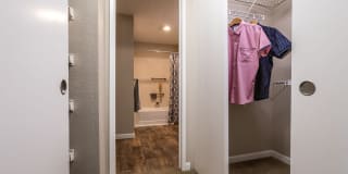 The Seasons Gallery 12