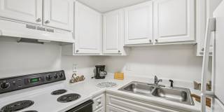 Scottish Towers II Gallery 13