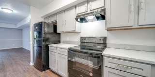 Village Square Gallery 4