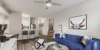 Mandarina Apartment Homes Gallery 51