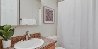 Bright & Updated Ranch in Pueblo West! Gallery 11