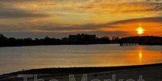 75 Avalon Ave Gallery 1