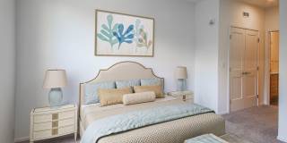 Senior & Affordable Housing – Haven at Congaree Pointe 55+ Apartments Gallery 26
