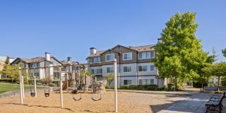 Sofi at Cedar Mill Gallery 41