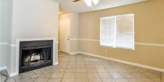 1506 Lemon Tree Lane Gallery 8