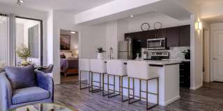 Avora Gallery 33