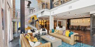 The Navigator The Navigator Gallery 10